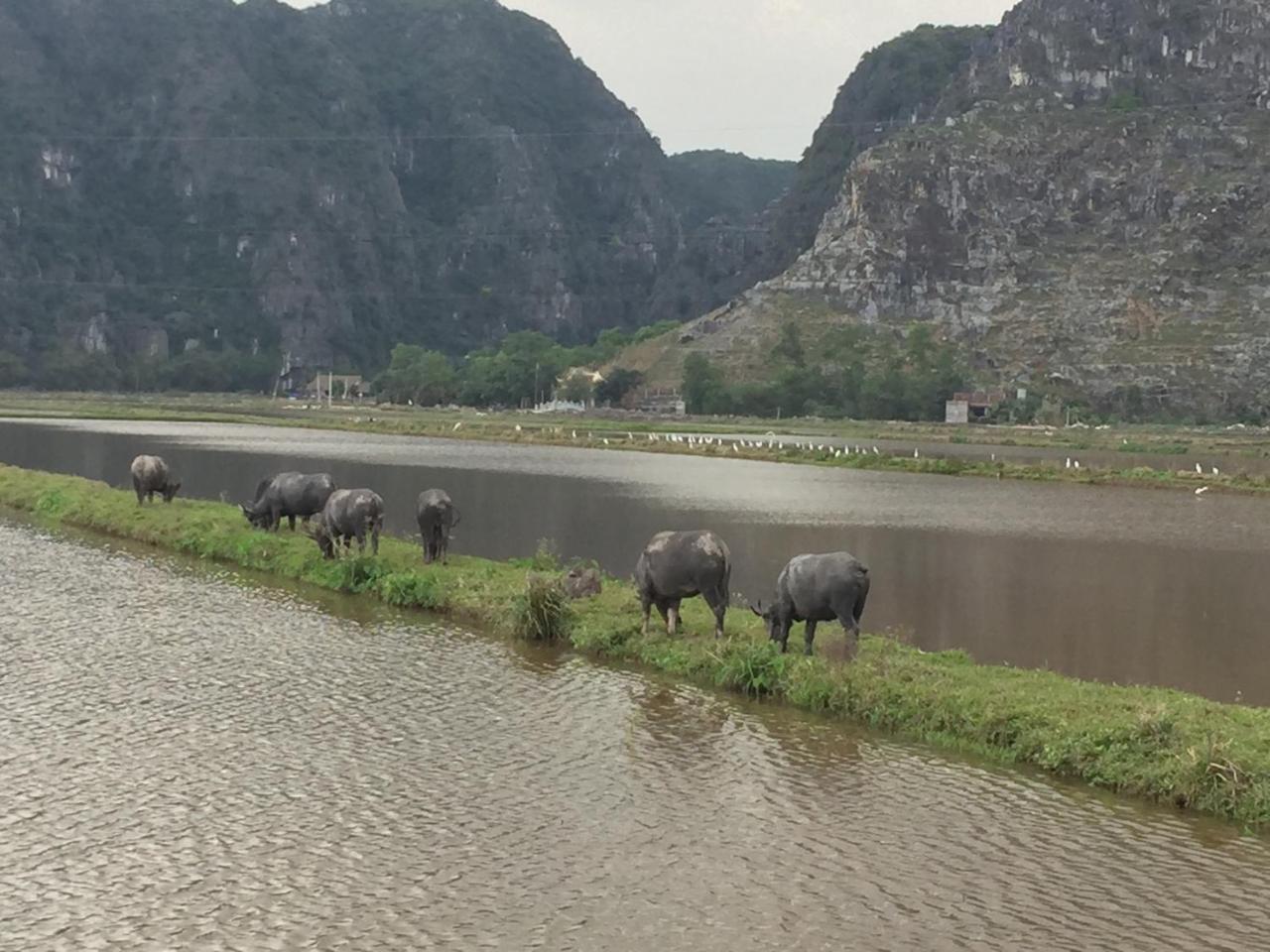 Tam Coc Vinh Thinh Homestay Ninh Binh Exterior photo