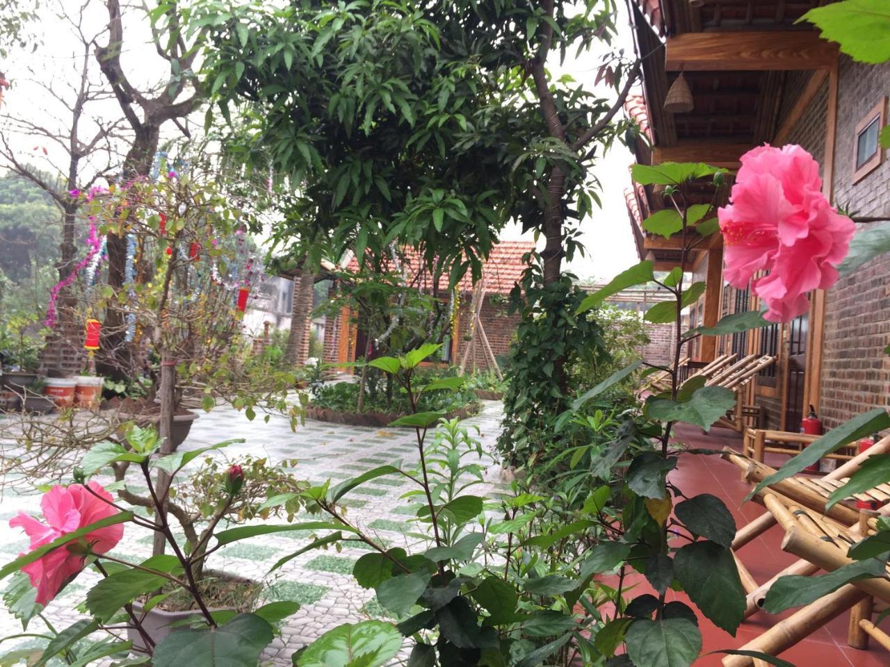 Tam Coc Vinh Thinh Homestay Ninh Binh Exterior photo