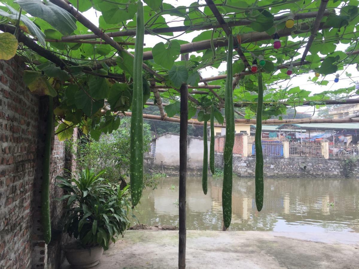 Tam Coc Vinh Thinh Homestay Ninh Binh Exterior photo