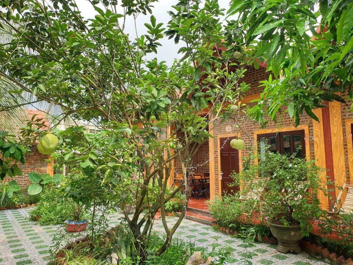 Tam Coc Vinh Thinh Homestay Ninh Binh Exterior photo
