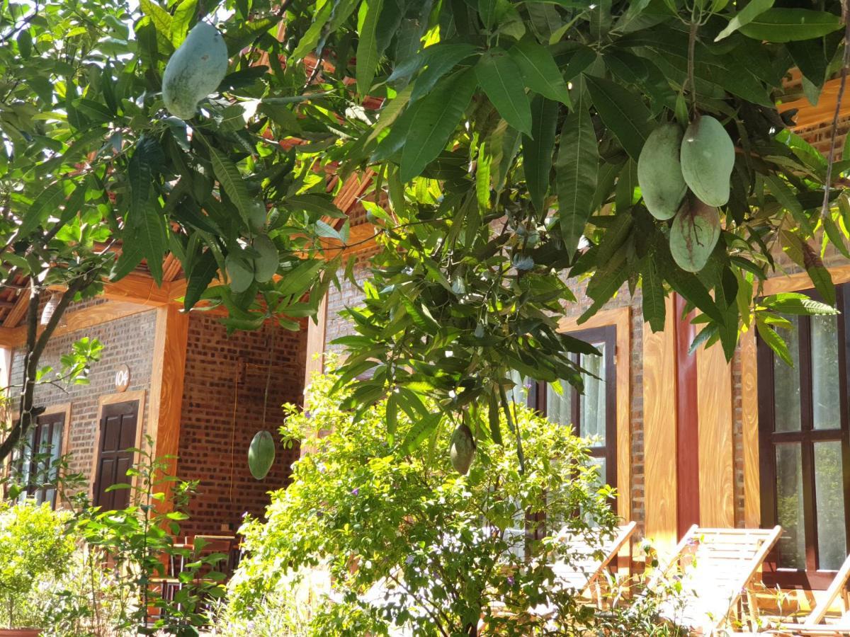 Tam Coc Vinh Thinh Homestay Ninh Binh Exterior photo