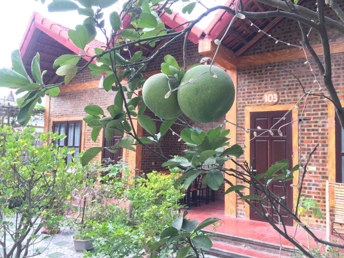 Tam Coc Vinh Thinh Homestay Ninh Binh Exterior photo